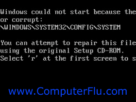 Computer Flu windows could not start